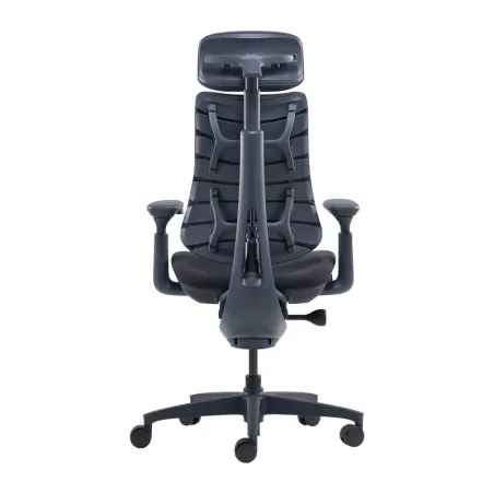 LiberNovo Omni 48 cm Ergonomic Chair (Black)